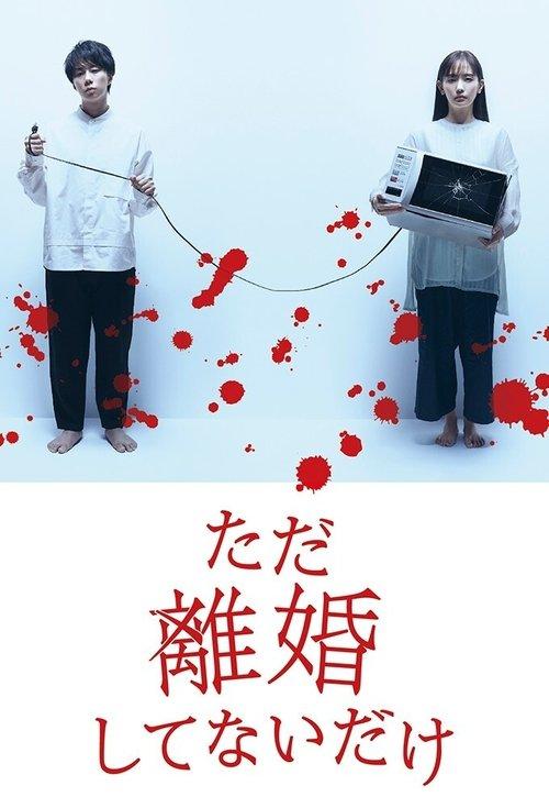 We Are Just Not Divorced dizi afişi