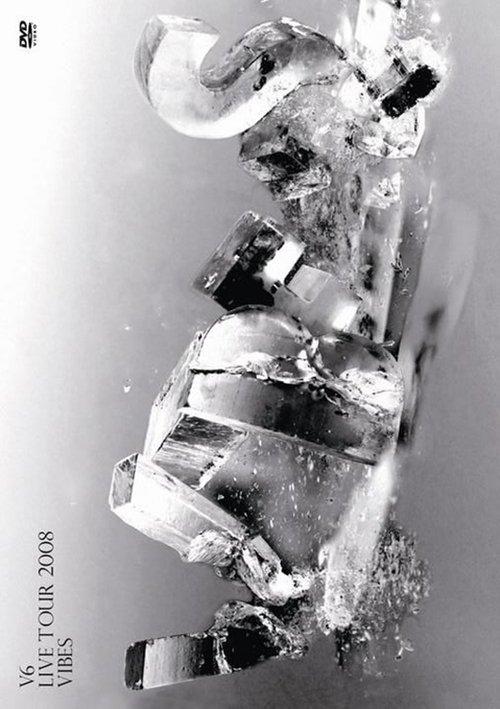 V6 LIVE TOUR 2008 VIBES film afişi
