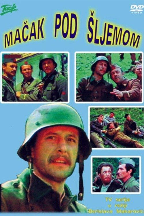 Cat Under a Helmet dizi afişi