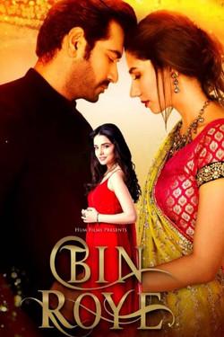 Bin Roye dizi afişi