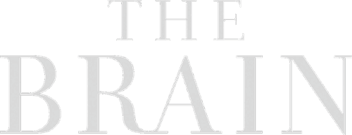 The Brain with David Eagleman logo