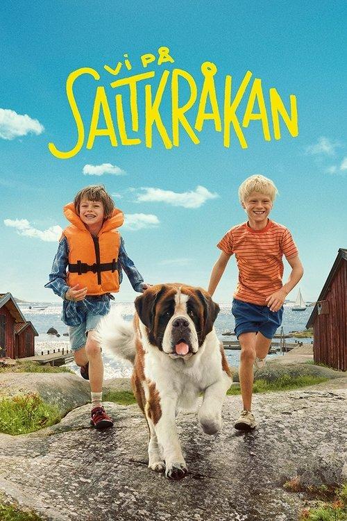 Vi på Saltkråkan dizi afişi