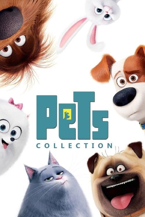 The Secret Life of Pets Collection koleksiyon afişi