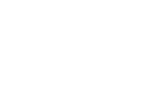 Towards Zero logo
