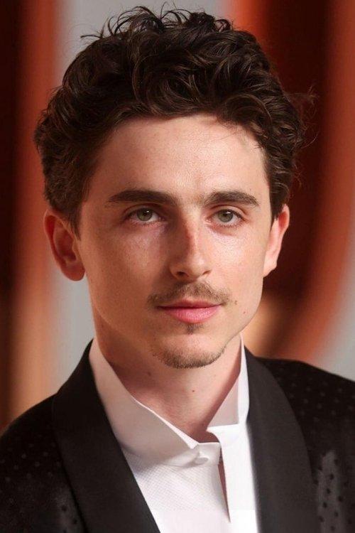 Timothée Chalamet fotoğrafı