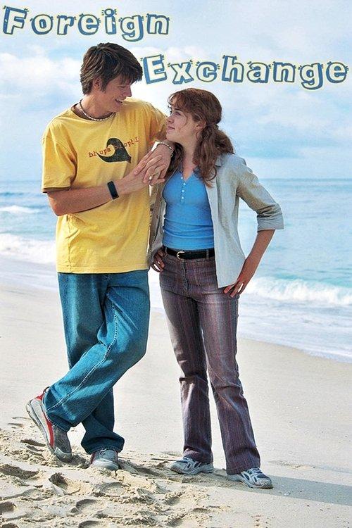 Foreign Exchange dizi afişi