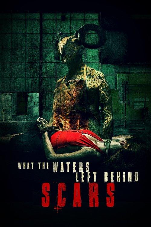 What the Waters Left Behind: Scars film afişi