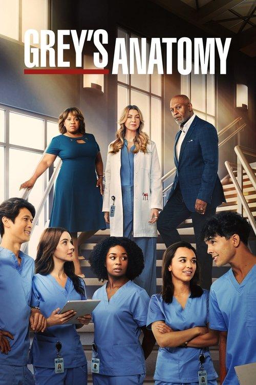 Grey's Anatomy Sezon 19