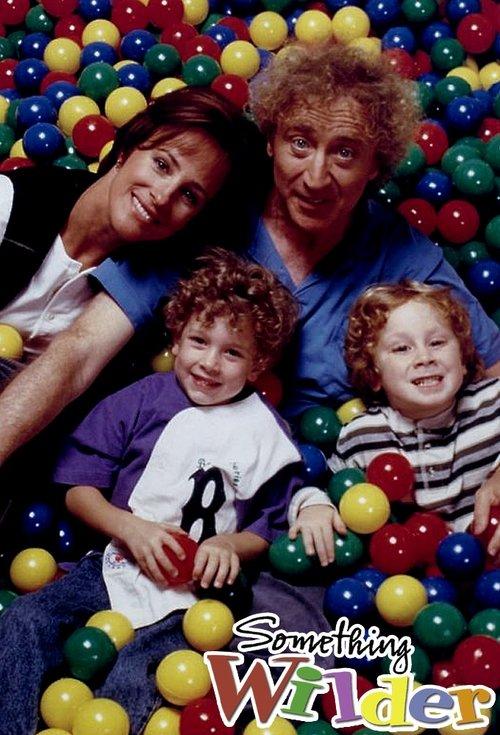 Something Wilder dizi afişi