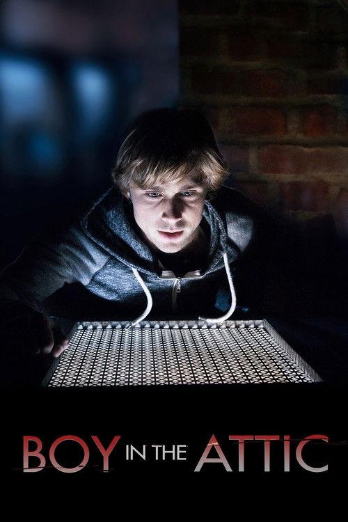 Secrets in the Attic film afişi