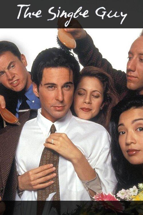 The Single Guy dizi afişi