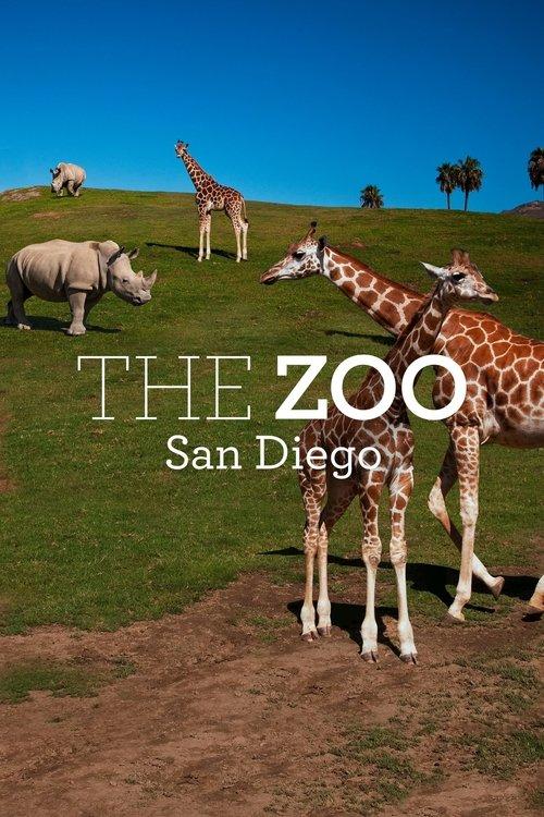 The Zoo: San Diego dizi afişi