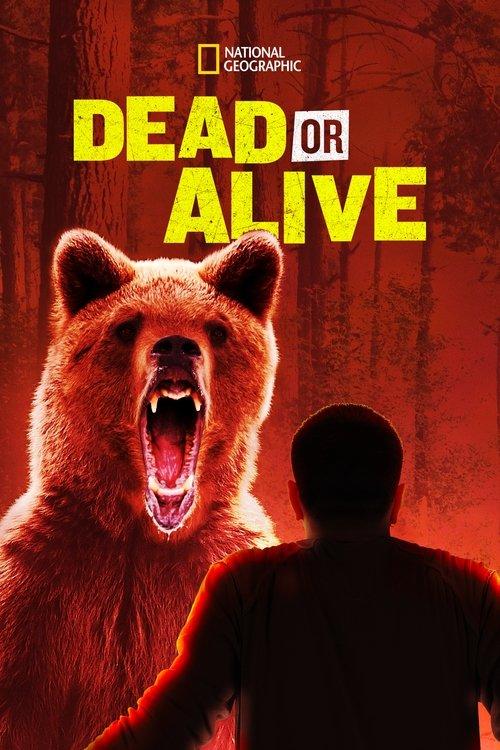 Dead or Alive dizi afişi