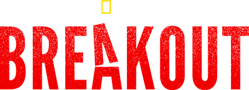 Breakout logo
