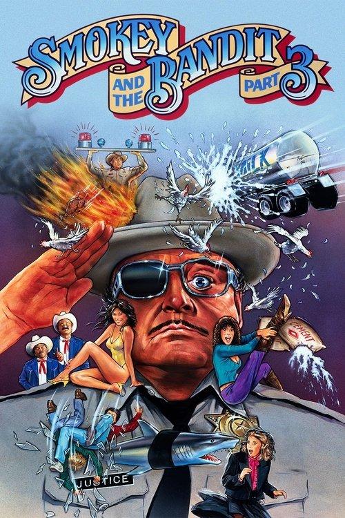 Smokey and the Bandit Part 3 film afişi