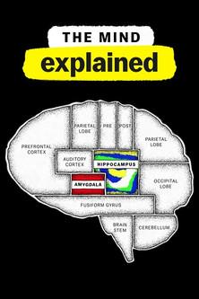 The Mind, Explained Sezon 2