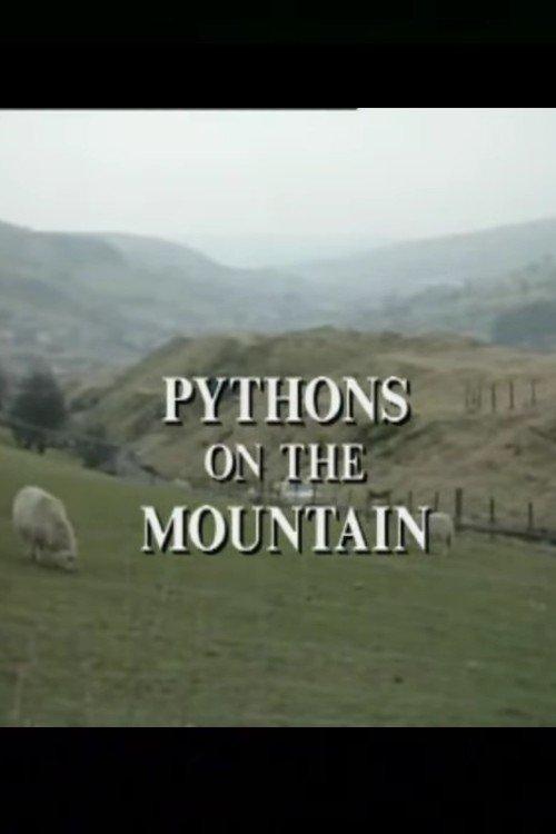 Pythons on the Mountain film afişi