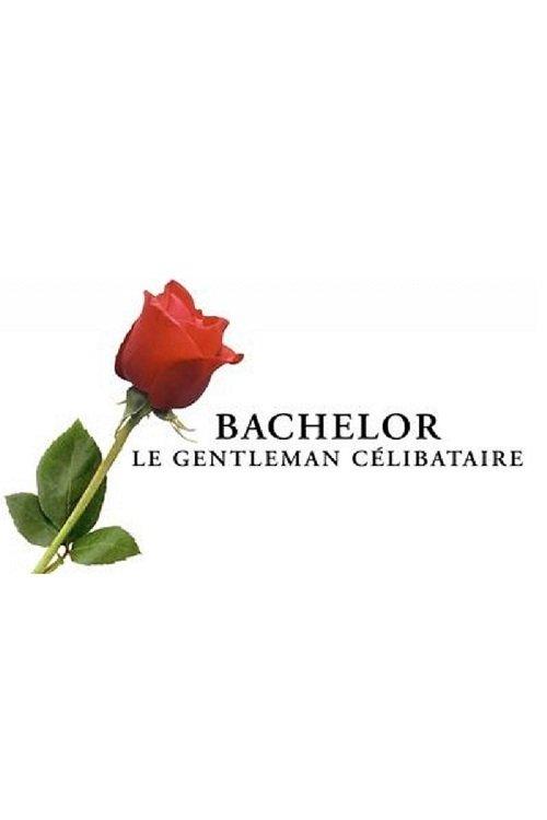 Bachelor, le gentleman célibataire dizi afişi