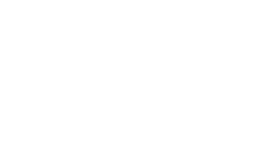 ELSE! logo