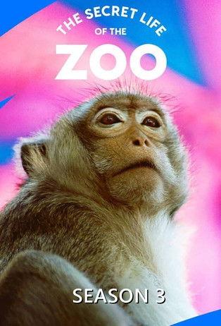 The Secret Life of the Zoo Sezon 3