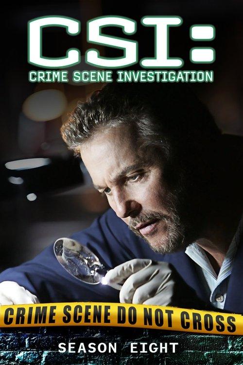 CSI: Crime Scene Investigation Sezon 8
