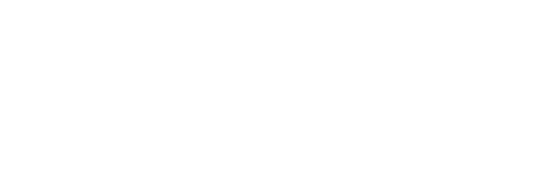 Vigilante logo