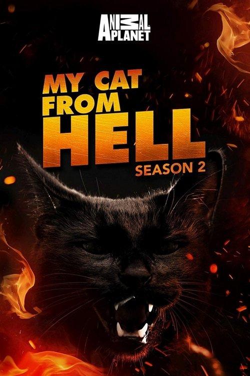 My Cat from Hell Sezon 2