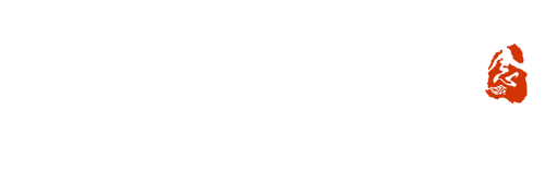 A Moment But Forever logo