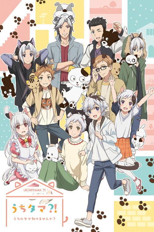 Uchitama?! Have You Seen My Tama? Sezon 1