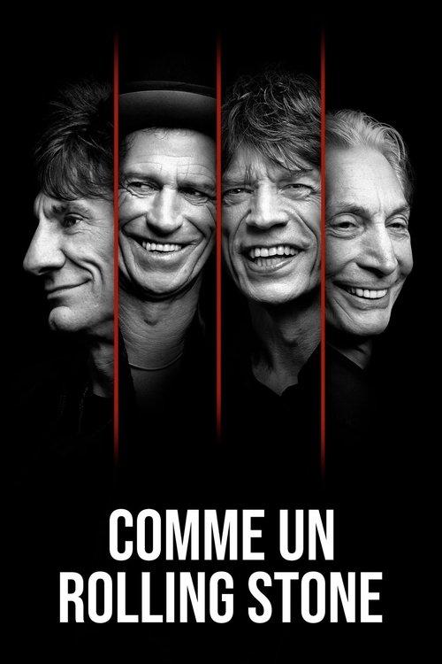 Comme un Rolling Stone dizi afişi