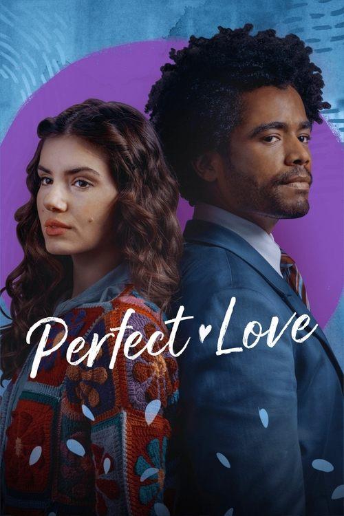 Perfect Love dizi afişi