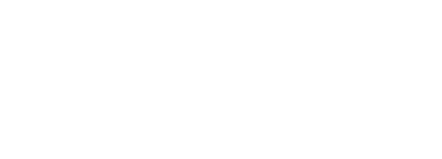 Virgin The Series logo