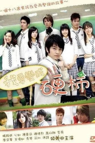 I Want to Become a Hard Persimmon dizi afişi