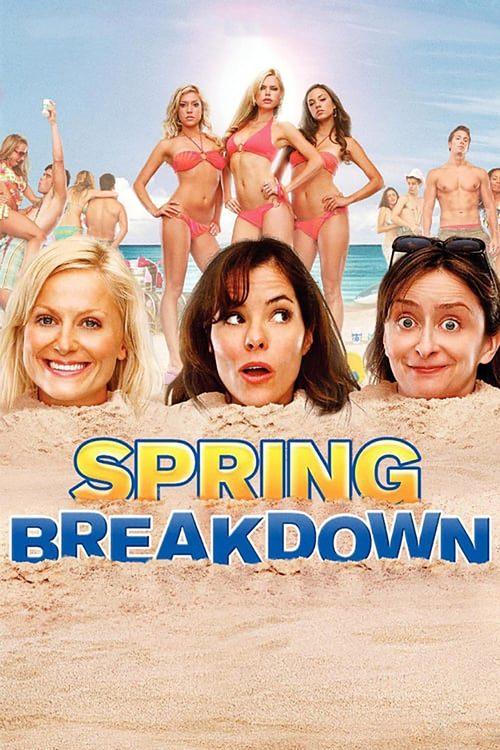Spring Breakdown film afişi