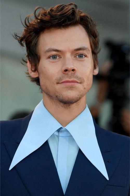 Harry Styles fotoğrafı