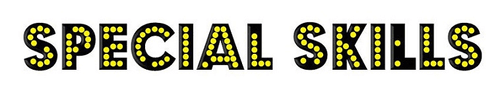 Special Skills logo