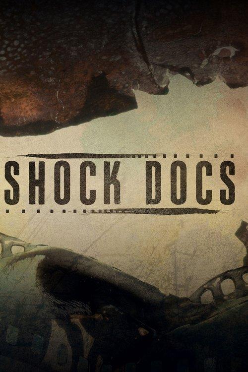 Shock Docs dizi afişi