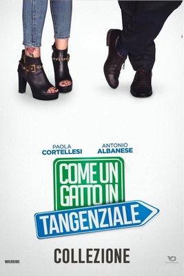 Come un gatto in tangenziale - Collezione koleksiyon afişi