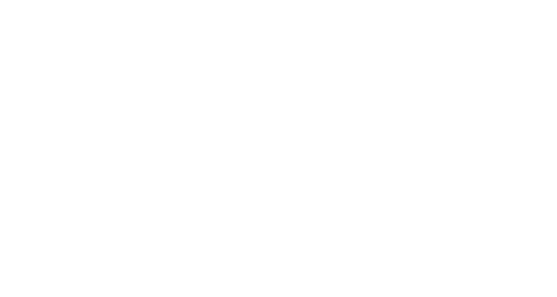 The Fast and the Furious logo