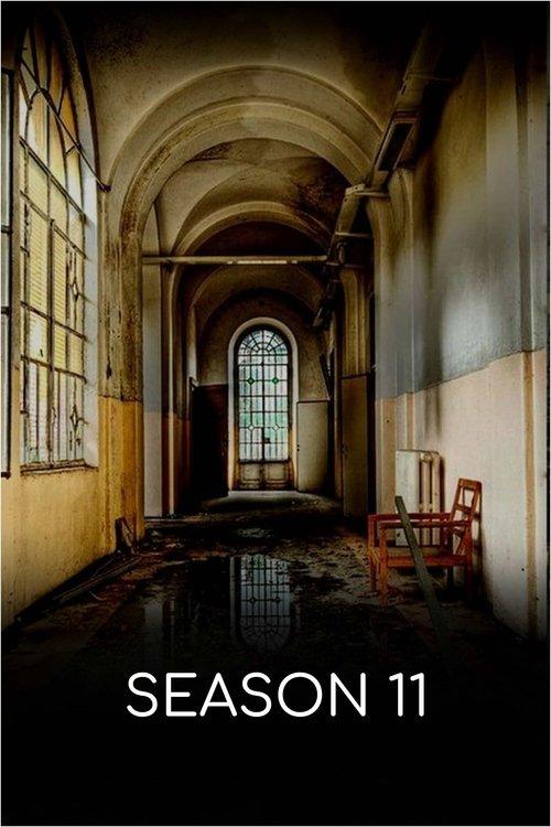 Abandoned Engineering Sezon 11