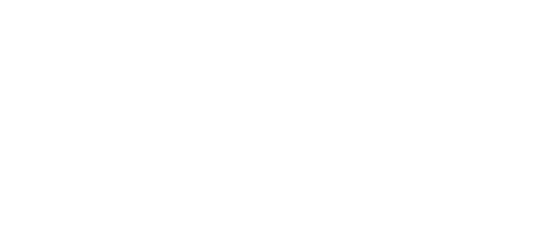 Levius logo