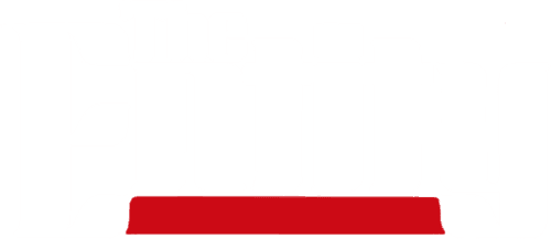 The Entity logo