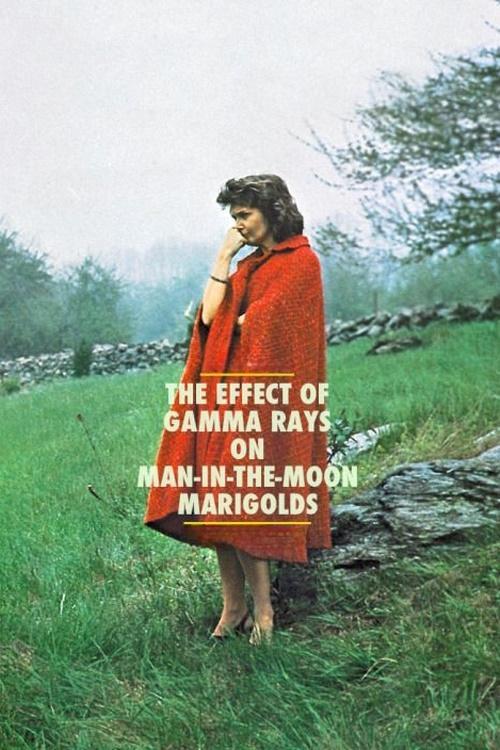 The Effect of Gamma Rays on Man-in-the-Moon Marigolds film afişi