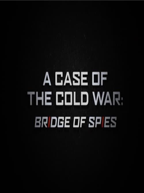 A Case of the Cold War: Bridge of Spies film afişi