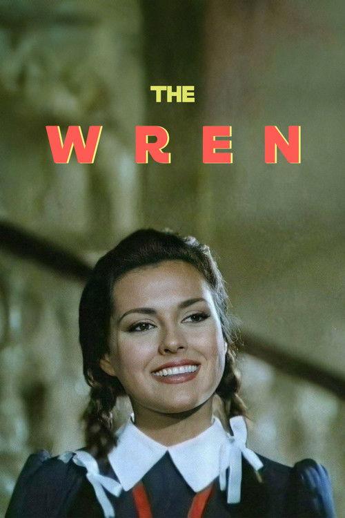 Çalıkuşu dizi afişi