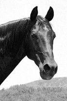 Highland Dale fotoğrafı