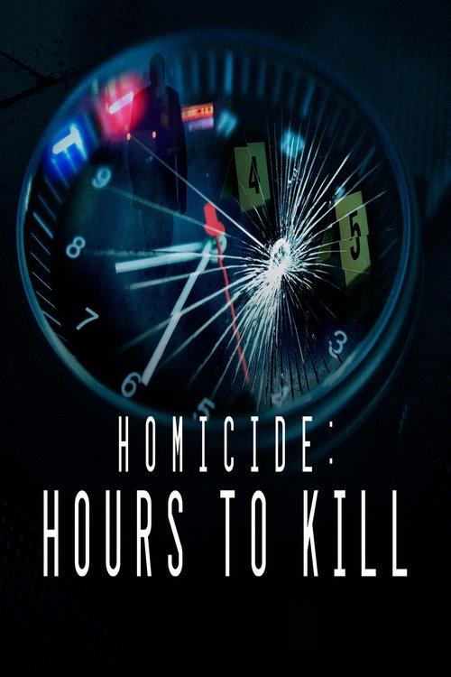 Homicide: Hours to Kill dizi afişi