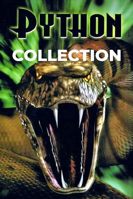 Python Collection koleksiyon afişi