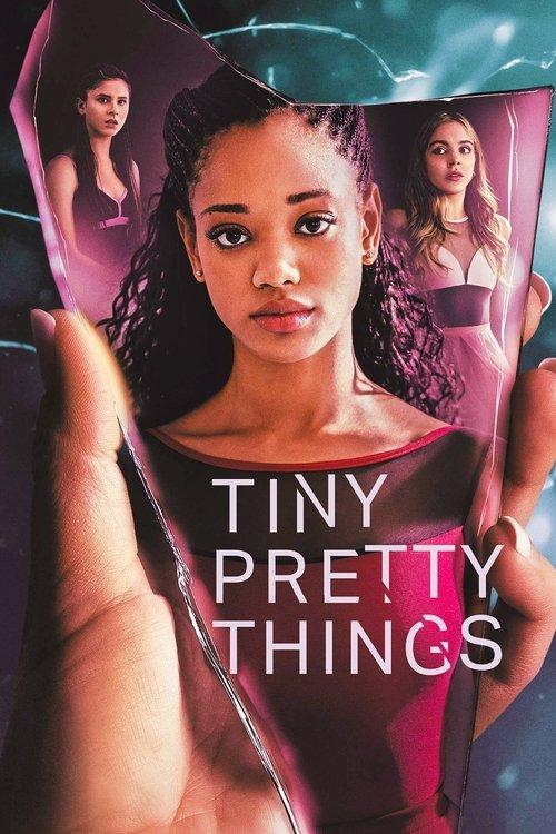 Tiny Pretty Things dizi afişi