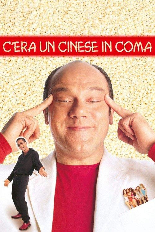 C'era un cinese in coma film afişi